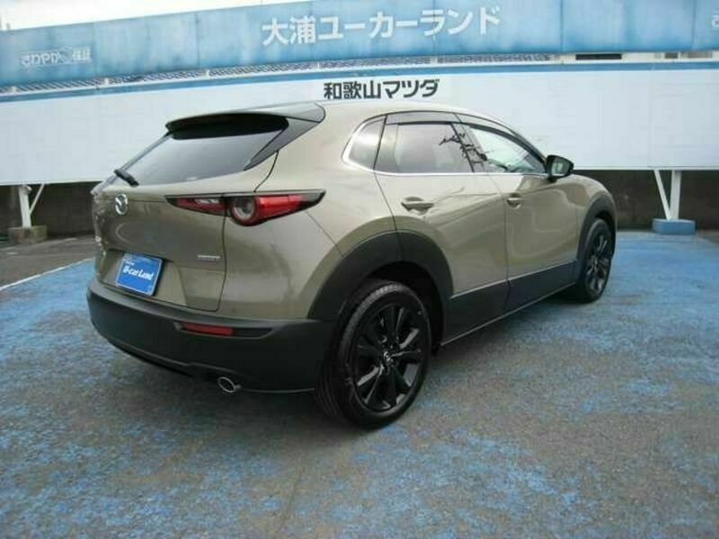 CX-30-4