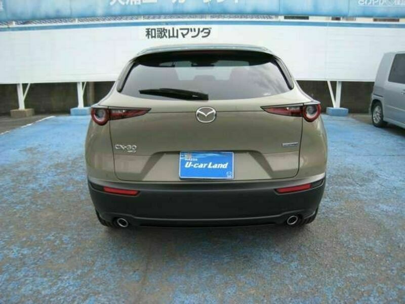 CX-30-6