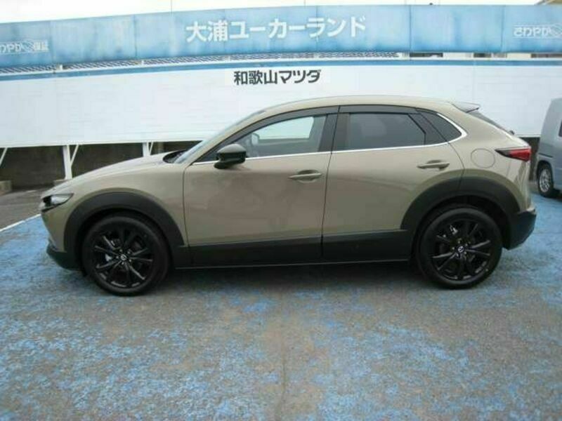 CX-30-8