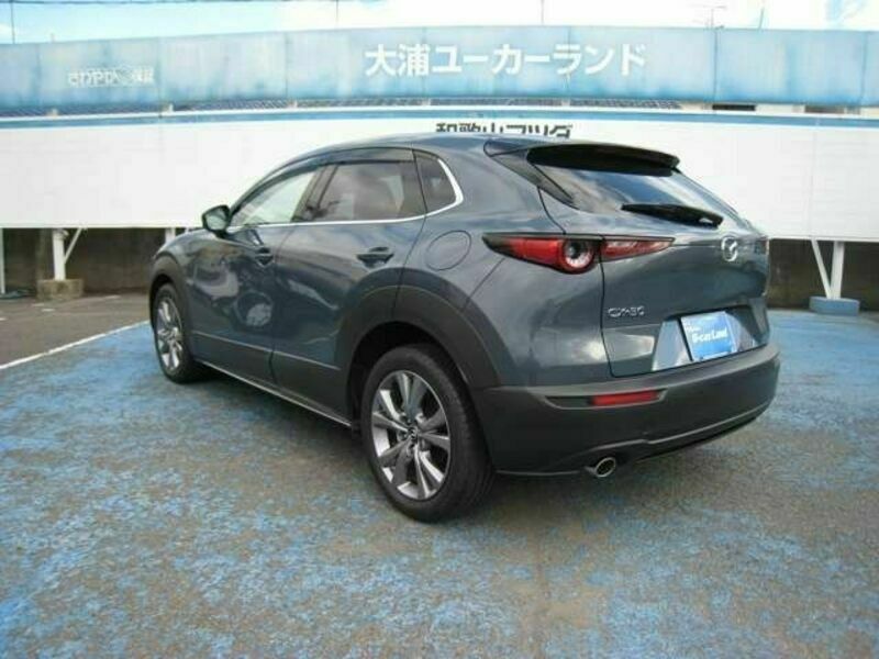 CX-30-2