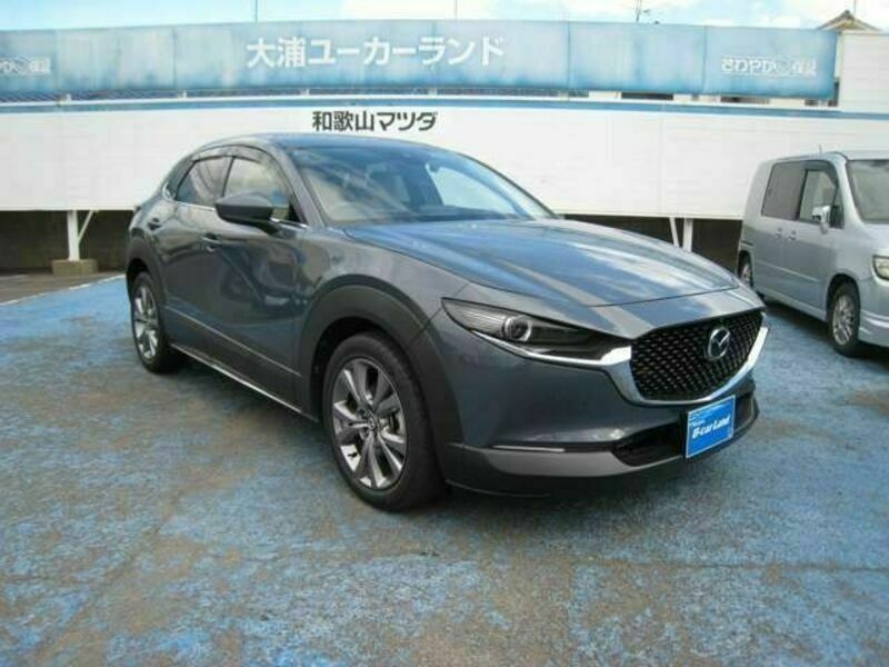 CX-30-3