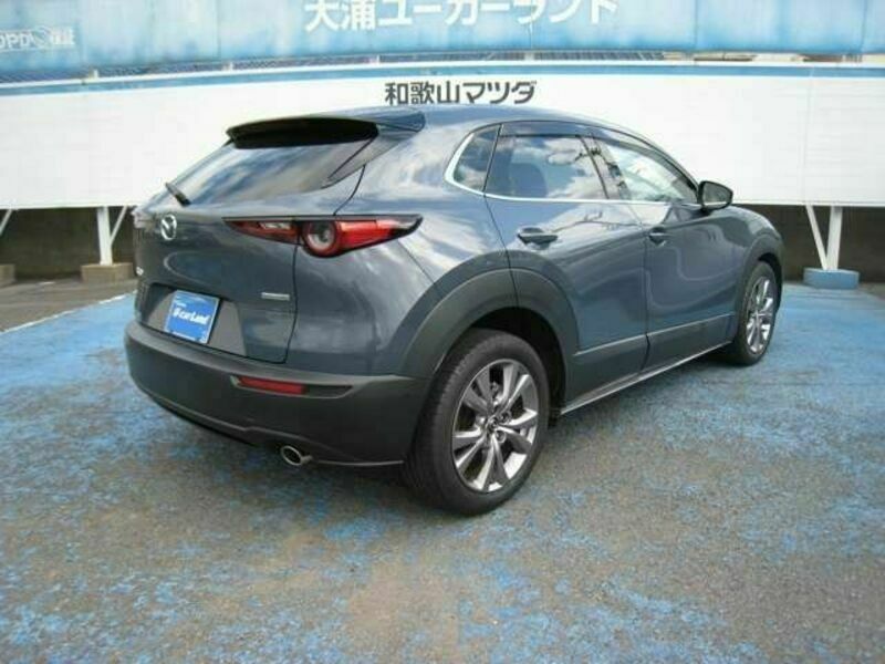 CX-30-4