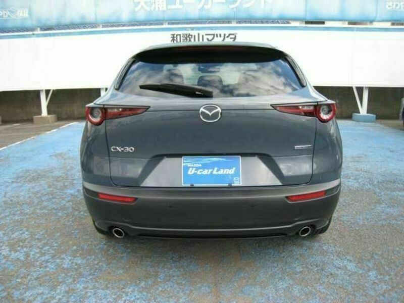 CX-30-6