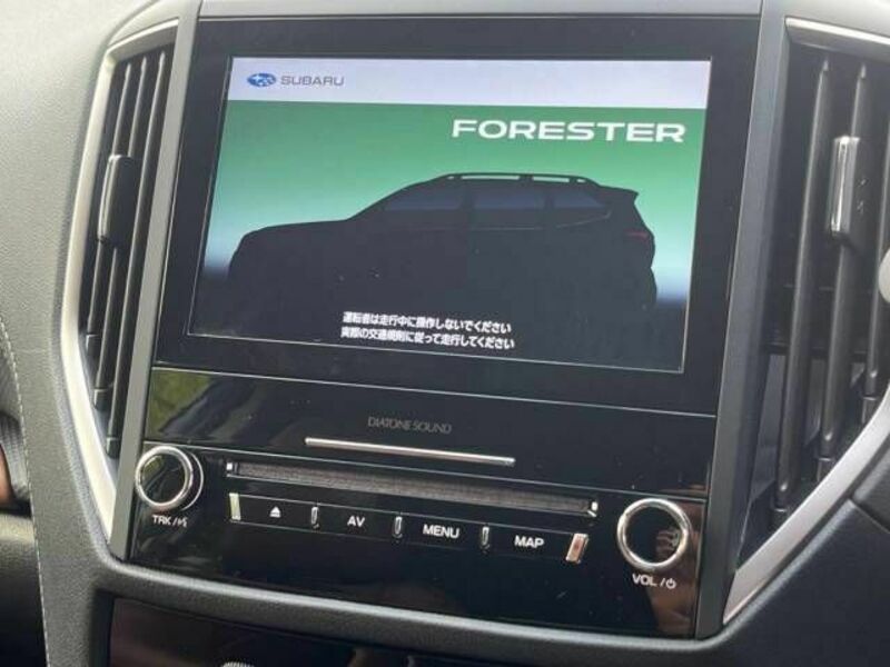 FORESTER-6