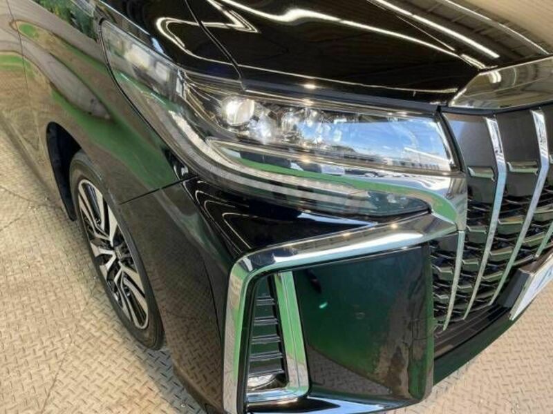 ALPHARD-13