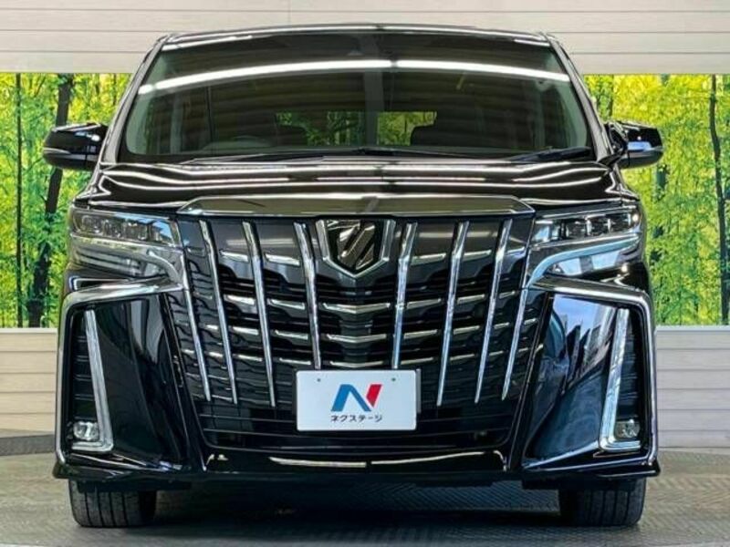 ALPHARD-15