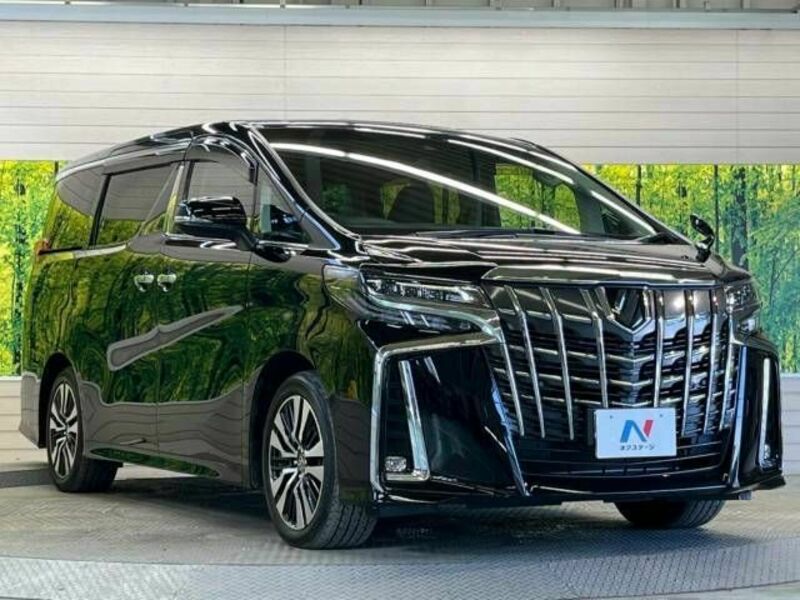 ALPHARD-17