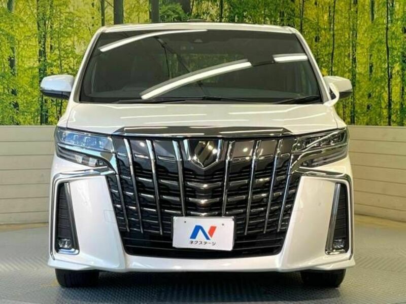 ALPHARD-14