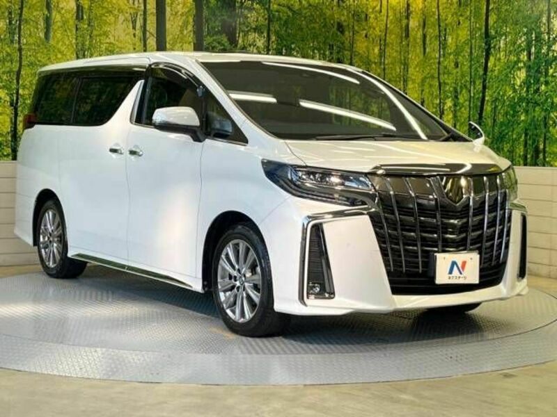 ALPHARD-16