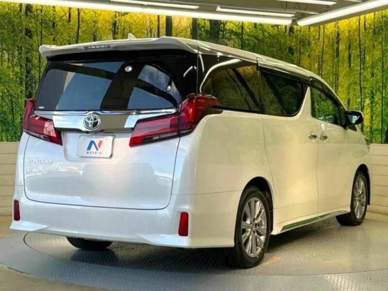 ALPHARD-17