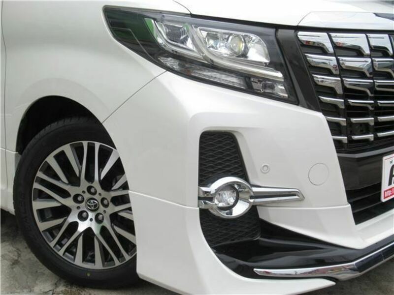 ALPHARD-8