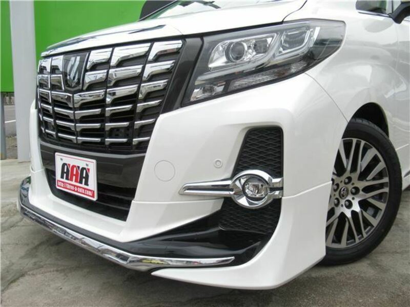 ALPHARD-33