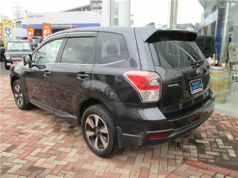 FORESTER-1