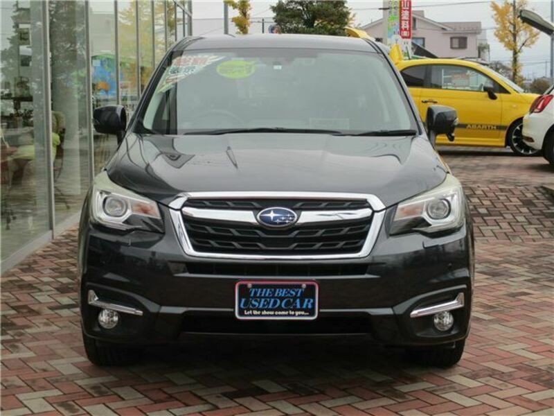 FORESTER-3