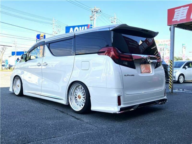 ALPHARD-6