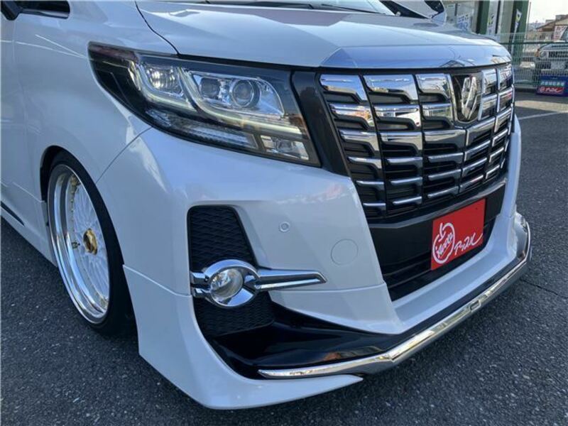 ALPHARD-36