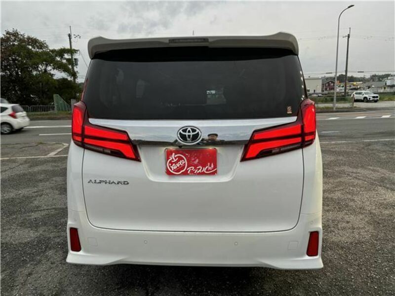 ALPHARD-6