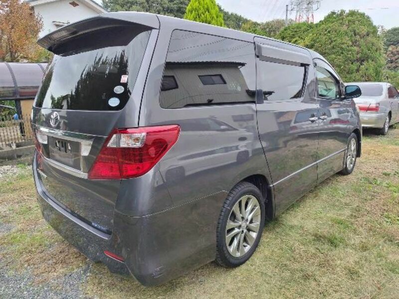 ALPHARD-1