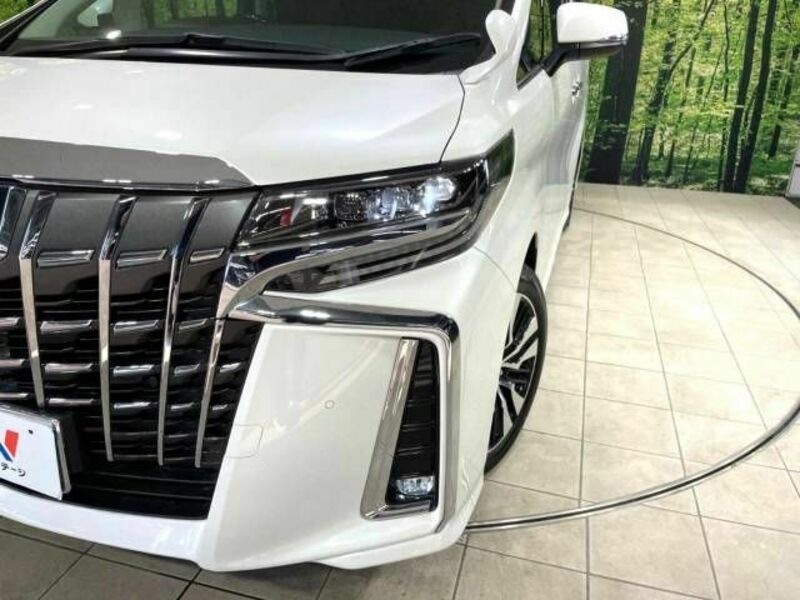 ALPHARD-13