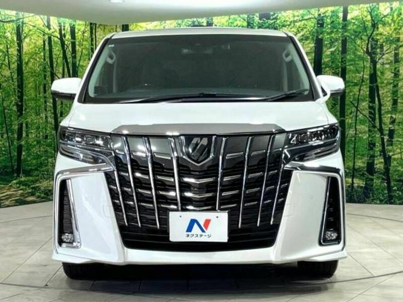 ALPHARD-15