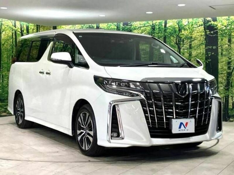 ALPHARD-17