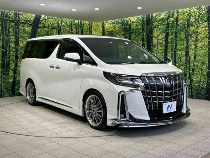 ALPHARD-16