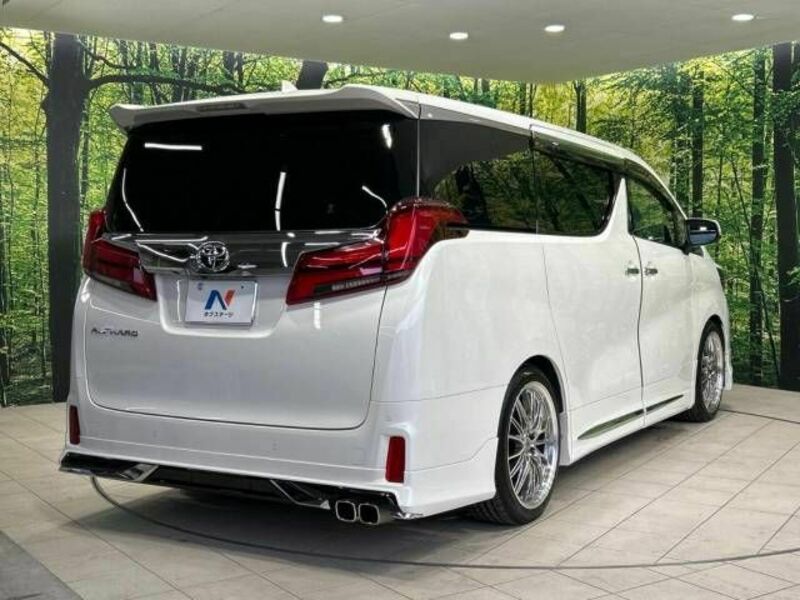 ALPHARD-17