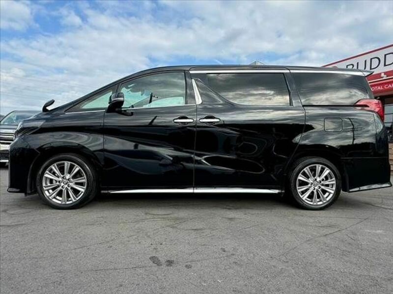 ALPHARD-10