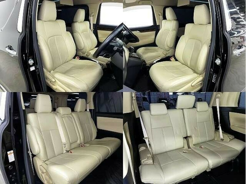 ALPHARD-6