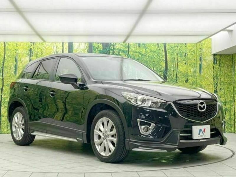 CX-5-16