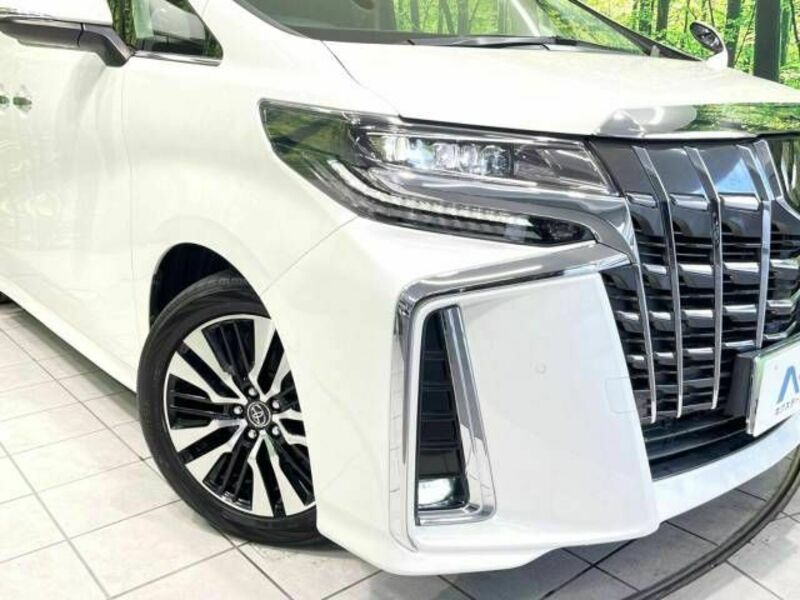 ALPHARD-13