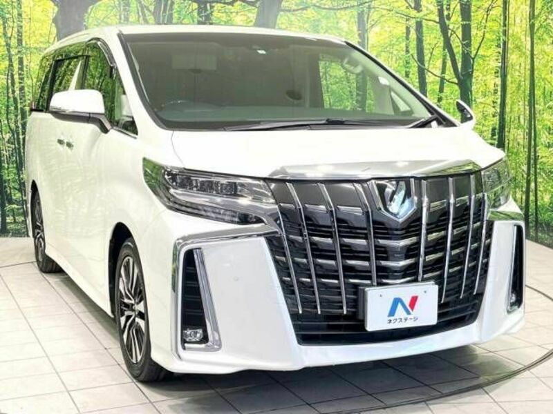 ALPHARD-17