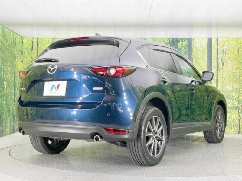 CX-5-17