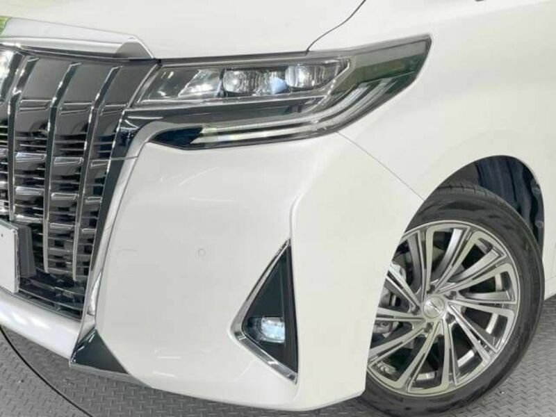 ALPHARD-13