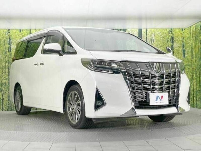 ALPHARD-17