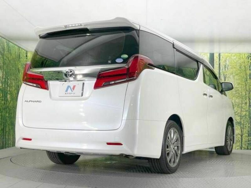 ALPHARD-18