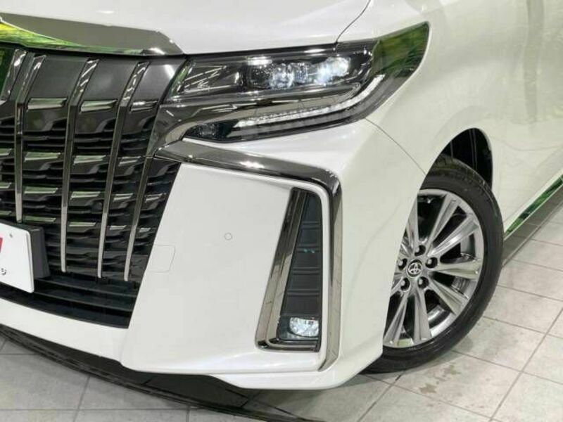 ALPHARD-13