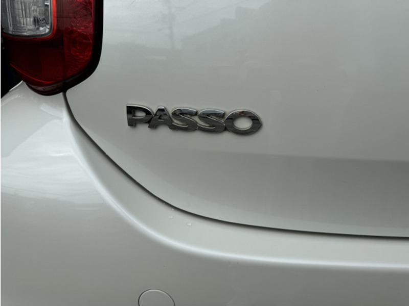 PASSO-18