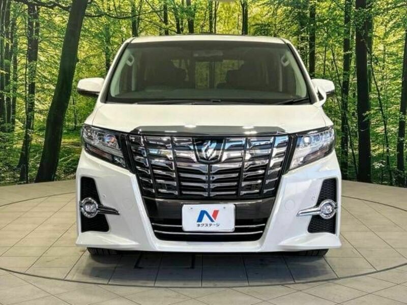 ALPHARD-14