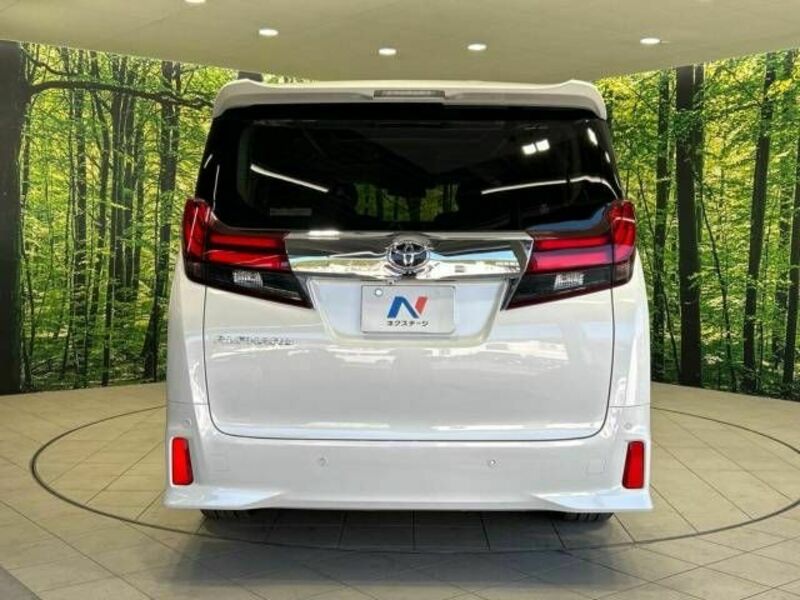 ALPHARD-15