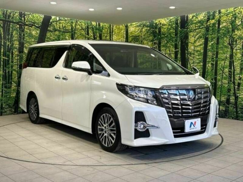 ALPHARD-16