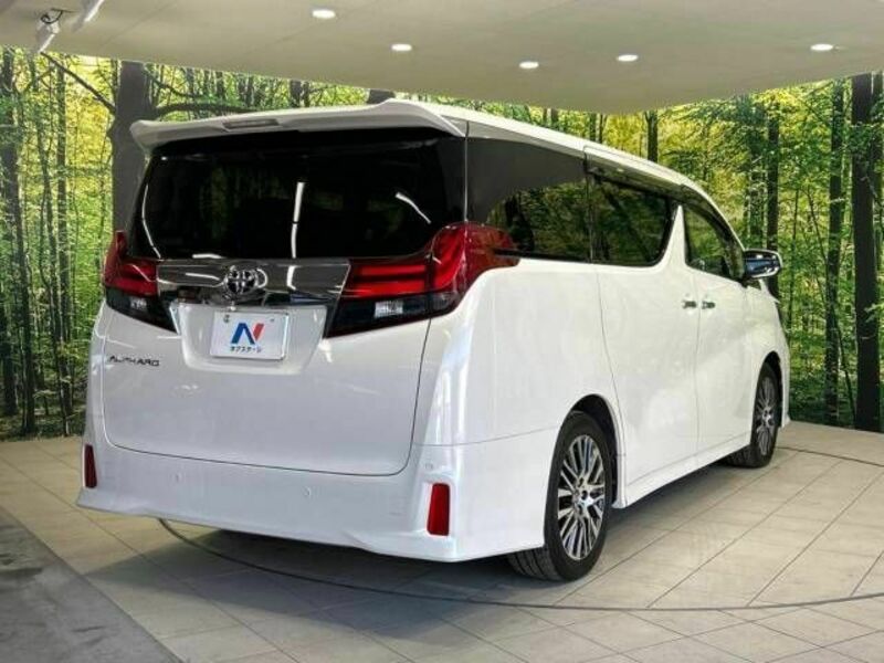 ALPHARD-17