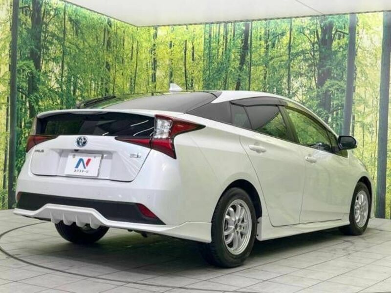 PRIUS-17