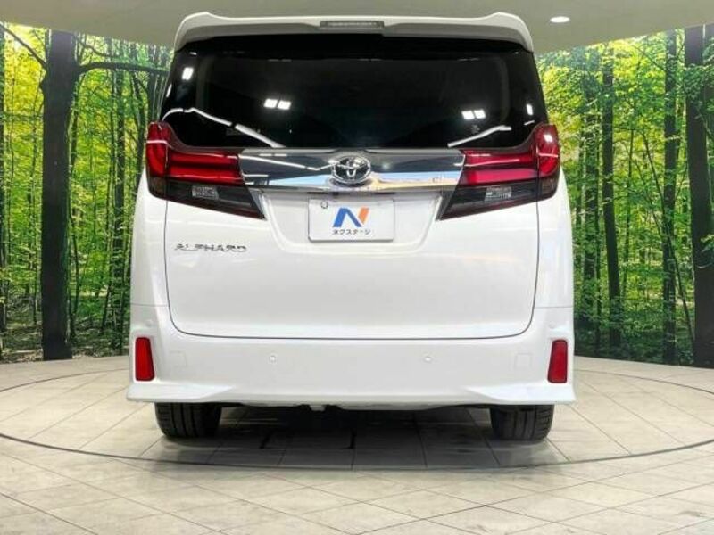 ALPHARD-16