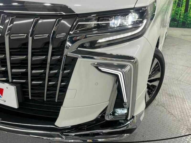 ALPHARD-13