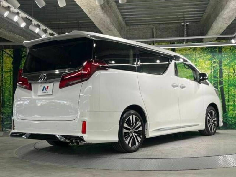 ALPHARD-18