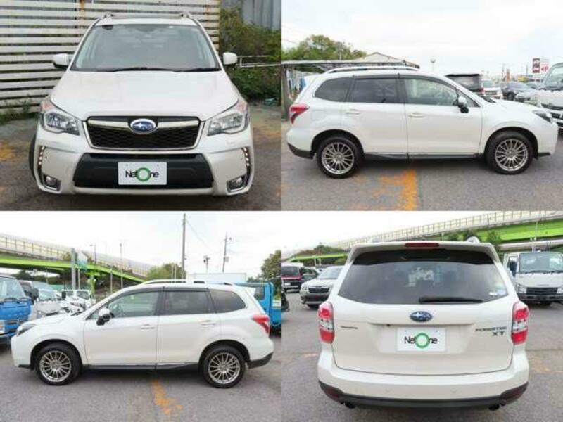 FORESTER-2