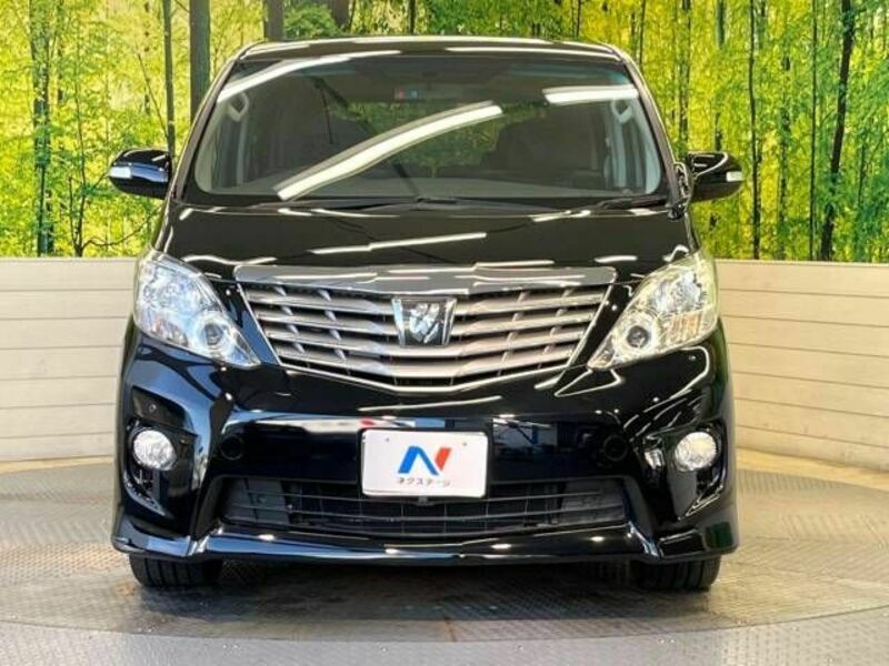 ALPHARD-14