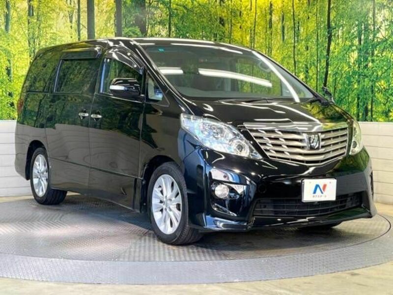 ALPHARD-16