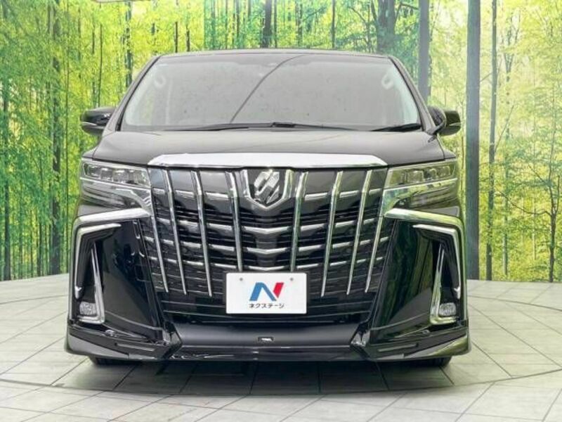 ALPHARD-13